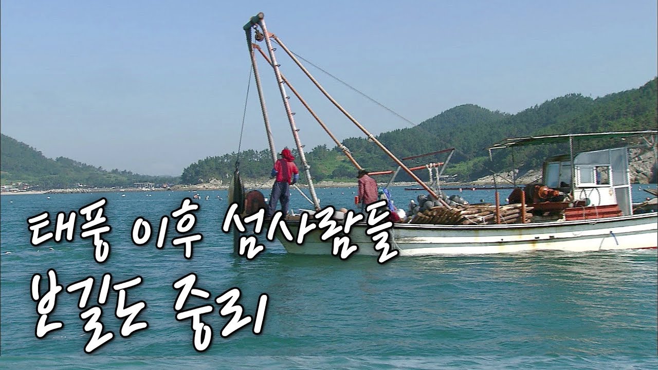 태풍이 휩쓸고 간 자리, 전복 때문에 울고 웃는 보길도 중리 사람들 [Korea Island]