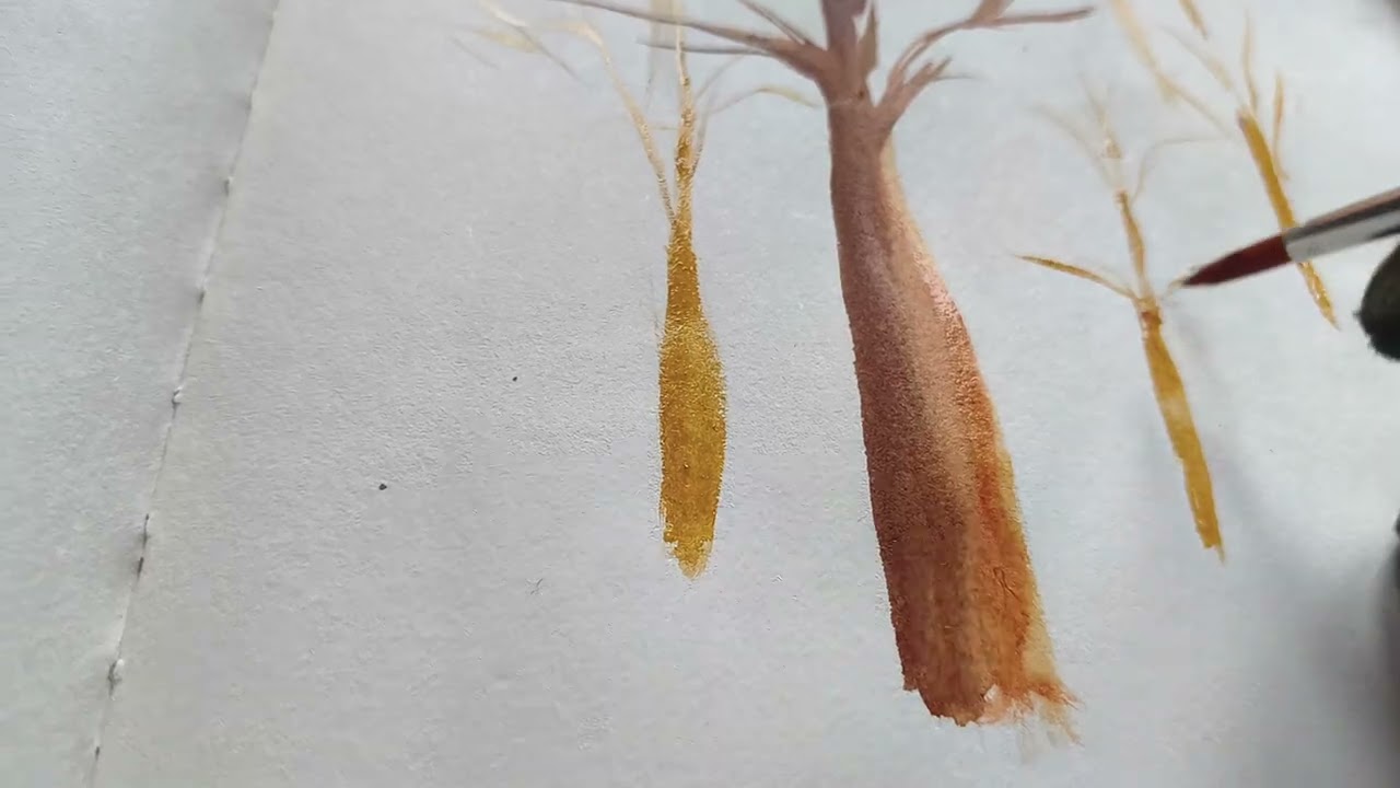 Madera 