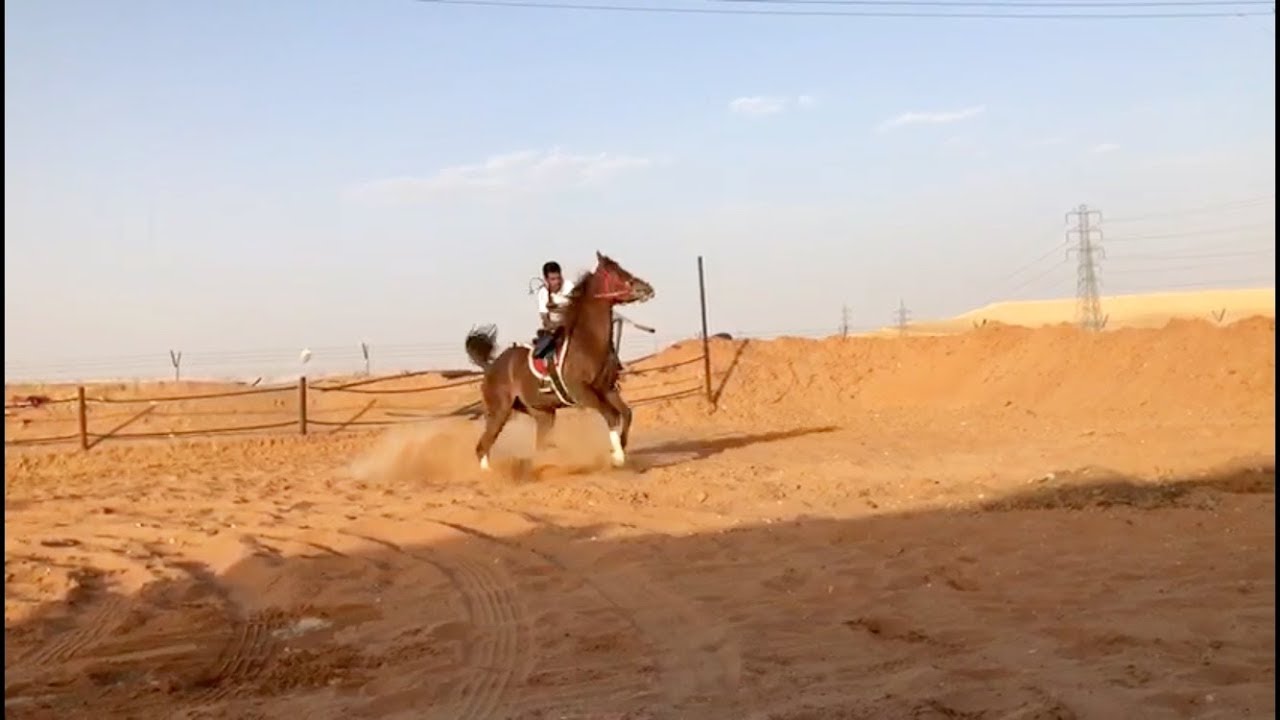 العدو مع المهره 