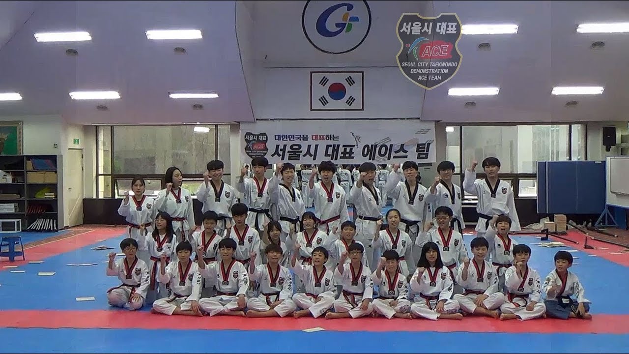 [생생영상] 서울시 에이스시범단
