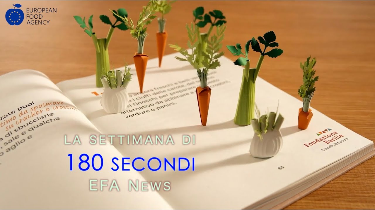 La settimana di EFA News. 06-02-2026
