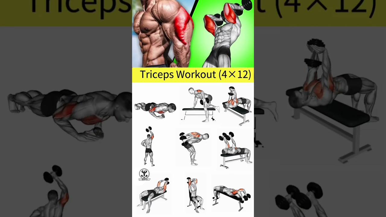 triceps workout at gym | tricep workout | triceps exercises | Build bigger Triceps !! #arms #triceps