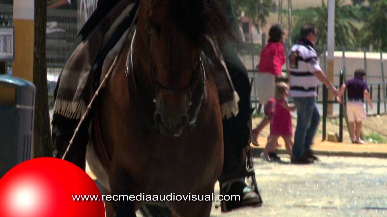 Feria 2013. Alcalá de Guadaíra.