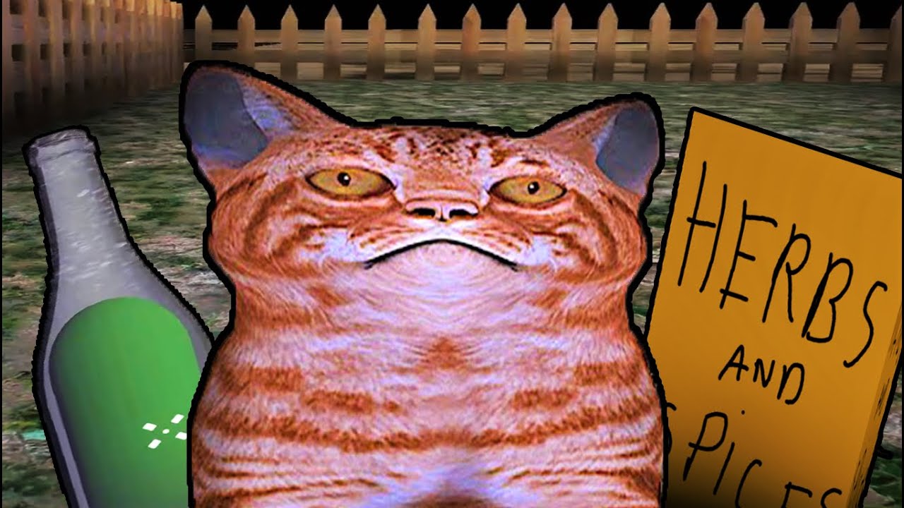 ALIMENTANDO A MI GATO DIABOLICO | Feed your cat