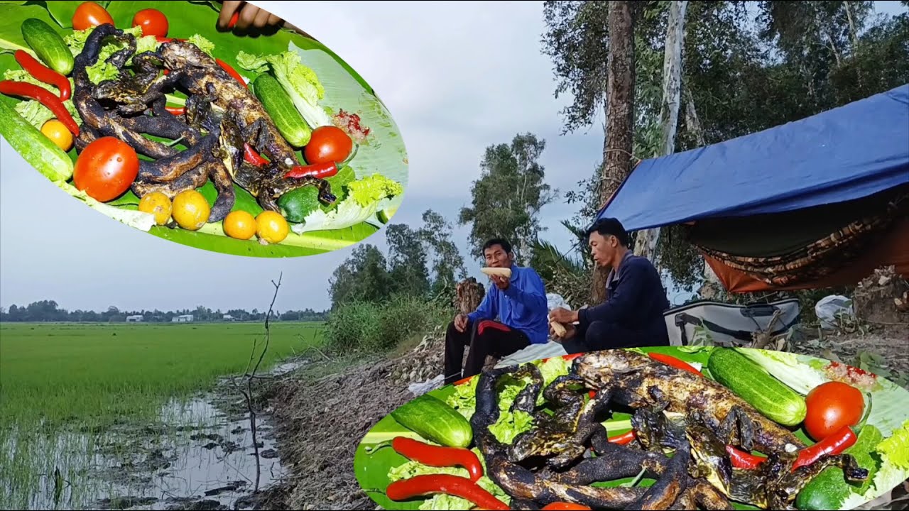 Tập33_ Cuộc sống săn bắt căm câu ll Bữa nay trúng đậm bầy cá lóc rất to