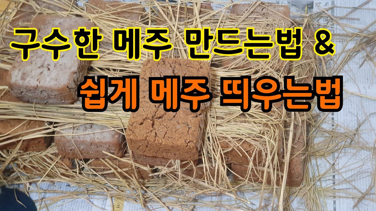 구수한 메주만들기/쉽게 메주 띄우는법ㅡ 강원도 할머니의 30년 노하우