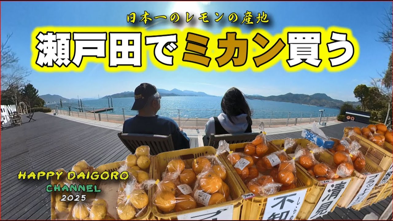 【瀬戸田でミカン買う】しまなみ海道の生口島でリピート買い！試食し過ぎて何が何だかの世界！
