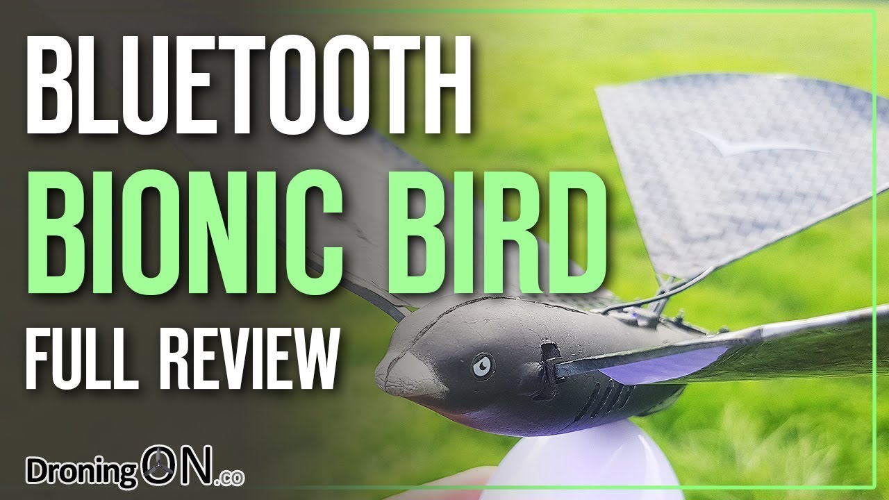XTIM Bionic Bird Review - Unboxing, Setup & Flight Test