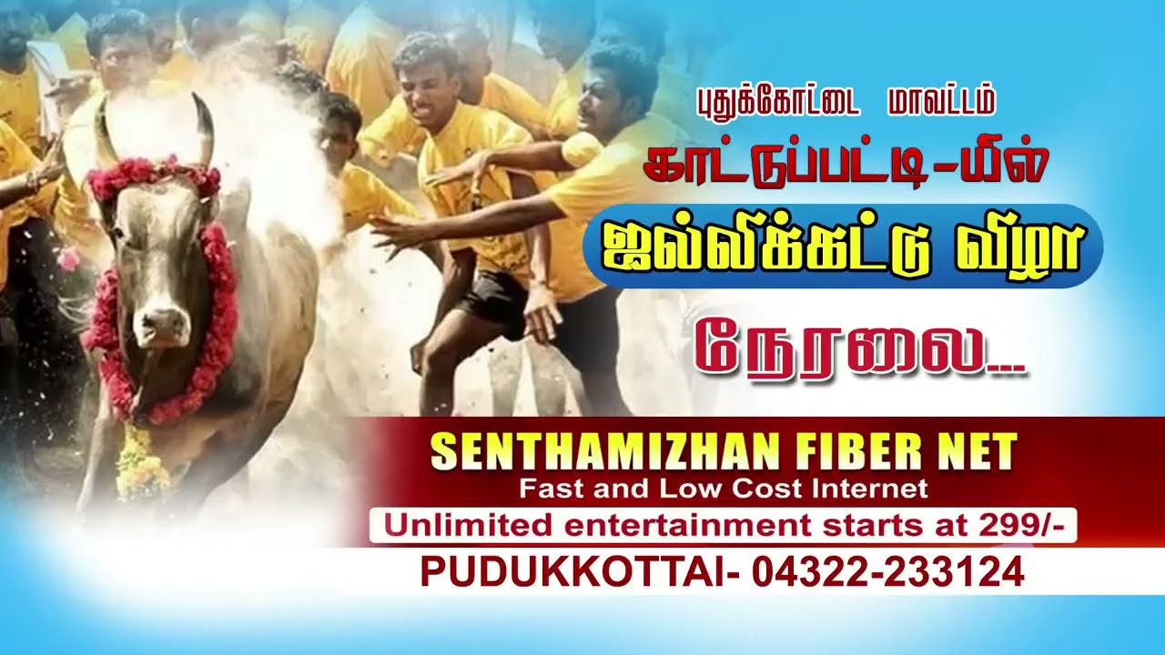 புதுக்கோட்டை மாவட்டம் காட்டுப்பட்டி ஜல்லிக்கட்டு 2025 நேரலை.. Pudukkottai Kattupatti Jallikkatu live