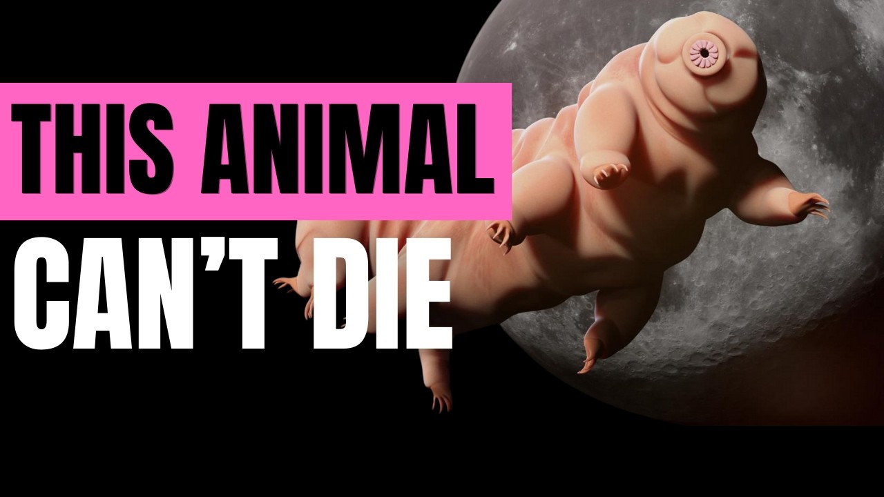 The Animal That Survives Space, Radiation, and Death Itself 🦠 — Tardigrades Explained