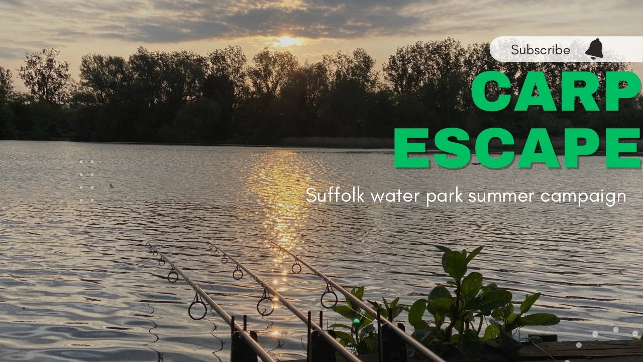 Summer campaign | Suffolk water park | CARP ESCAPE / Carp fishing 2023