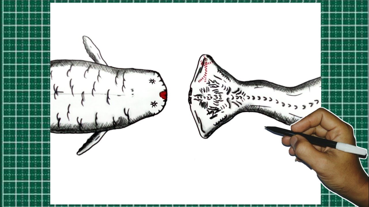 How to Draw Bloop VS El Gran Maja - Top View