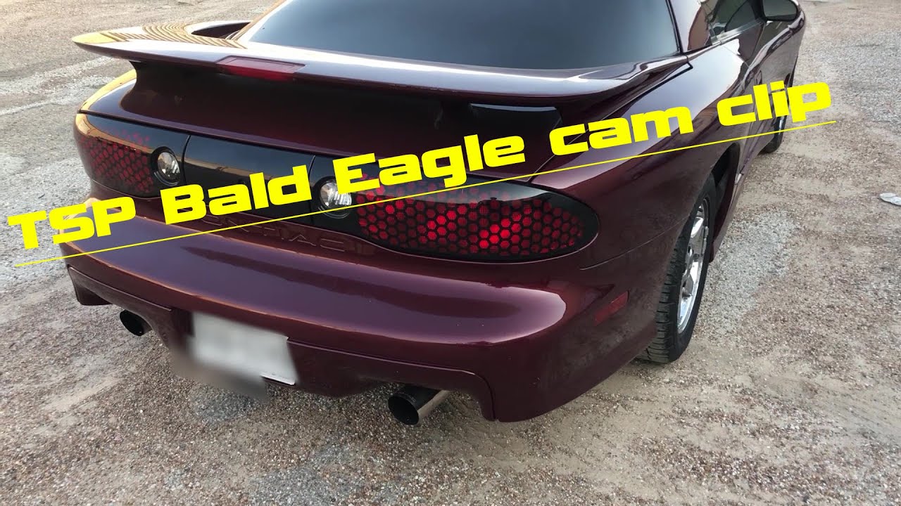 Texas Speed Bald Eagle Cam Idle Clip