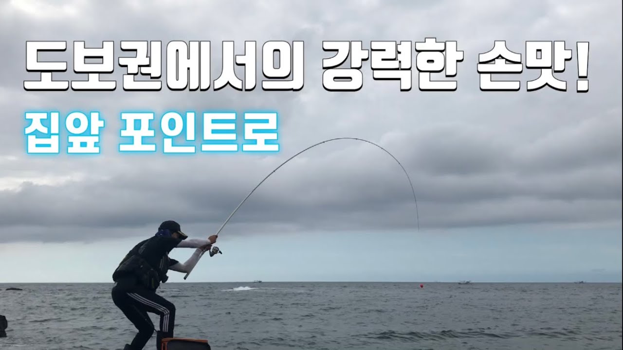 도보권 벵에돔 낚시 짬낚에 얼마나 나올까?