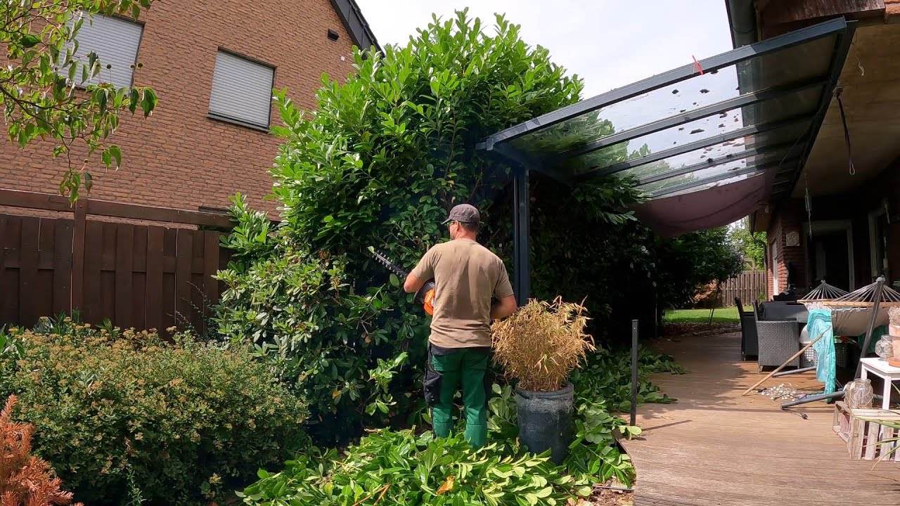 Pruning OVERGROWN Hedges in the Front and Back yards!