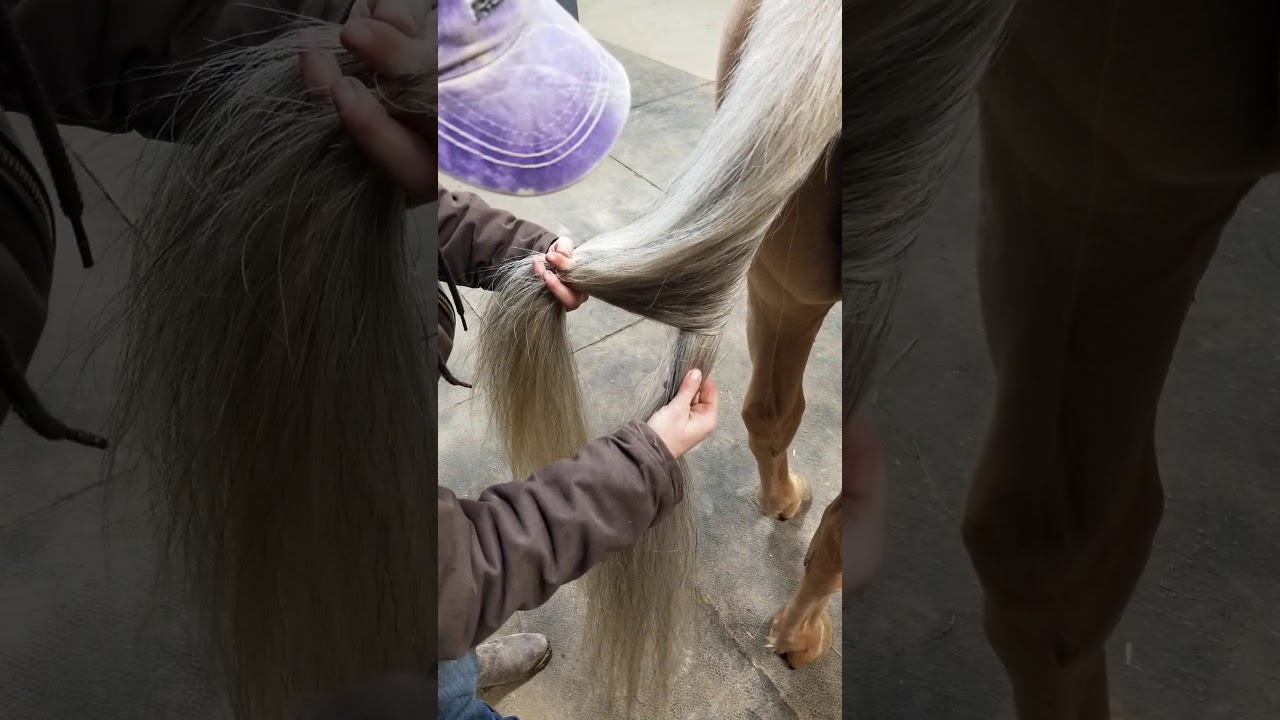How to properly sock a tail