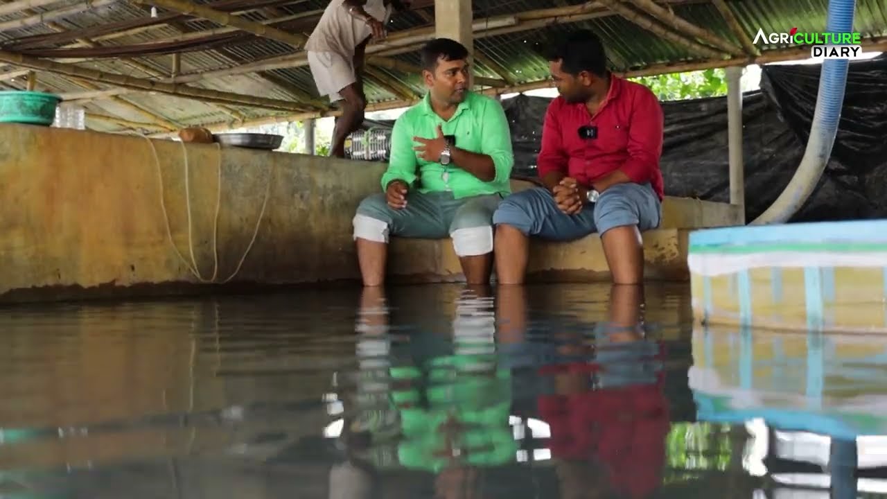 রাশিয়ার থেকে ফিরে এখন মাছ চাষ করছে অনুপ | Catfish Breeding | Fish Farming | Fish
