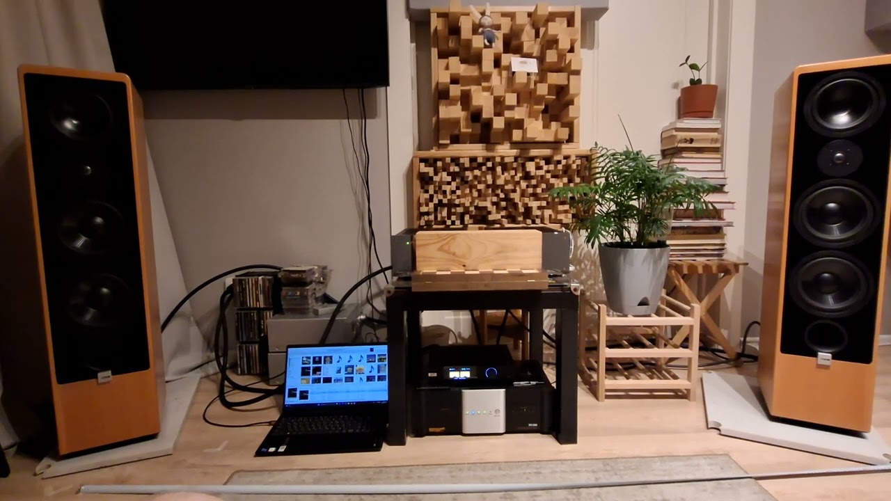 Canton Ergo 902 DC Eversolo DAC Z8