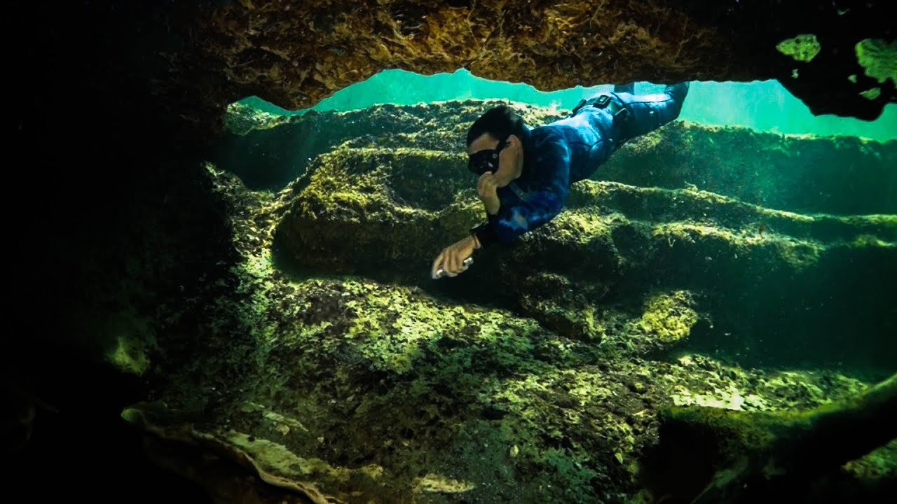 Freediving Blue Springs Florida (Take the Waters)