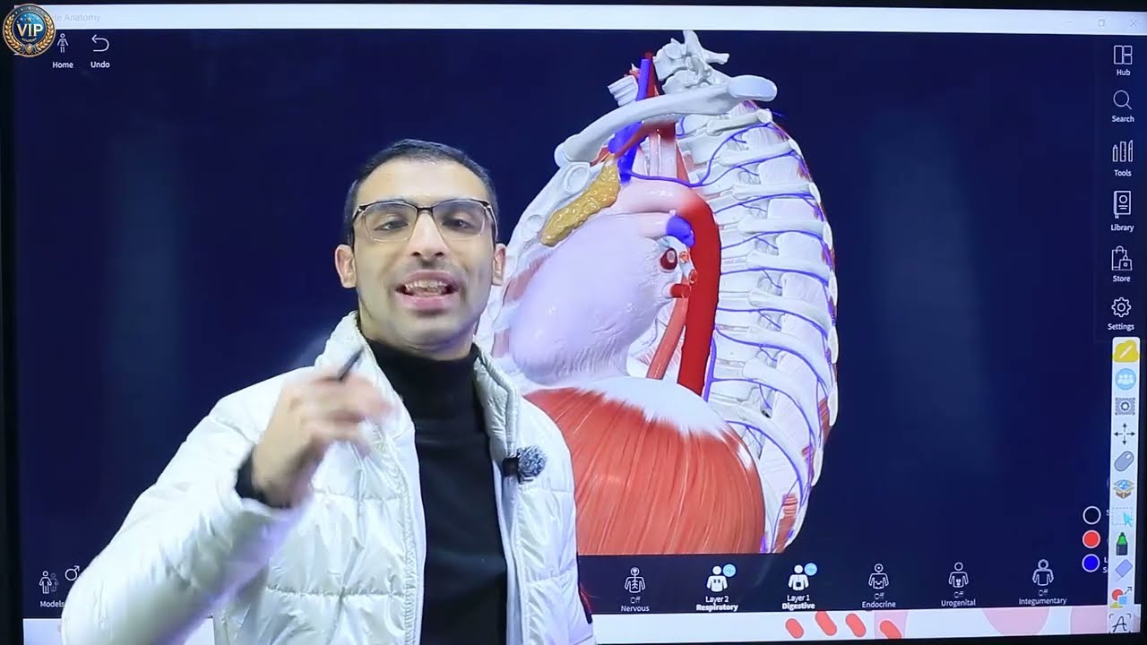 cardio pulmonary 1  ( introduction + external features of the heart )