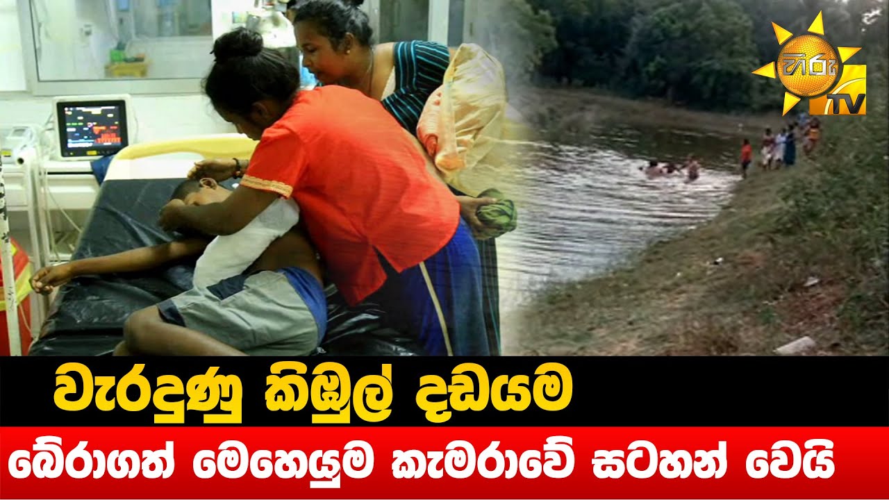 වැරදුණු කිඹුල් දඩයම - බේරාගත් මෙහෙයුම කැමරාවේ සටහන් වෙයි - Hiru News