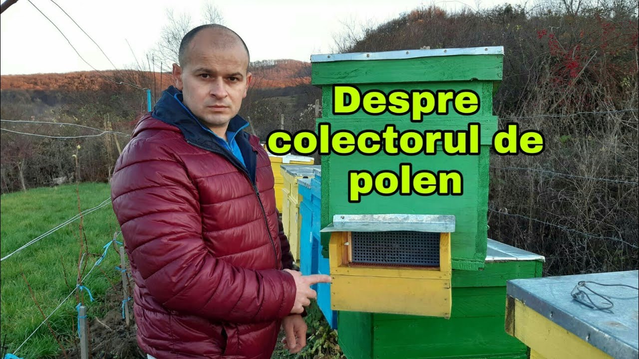 Despre colectorul de polen tip Sălaj