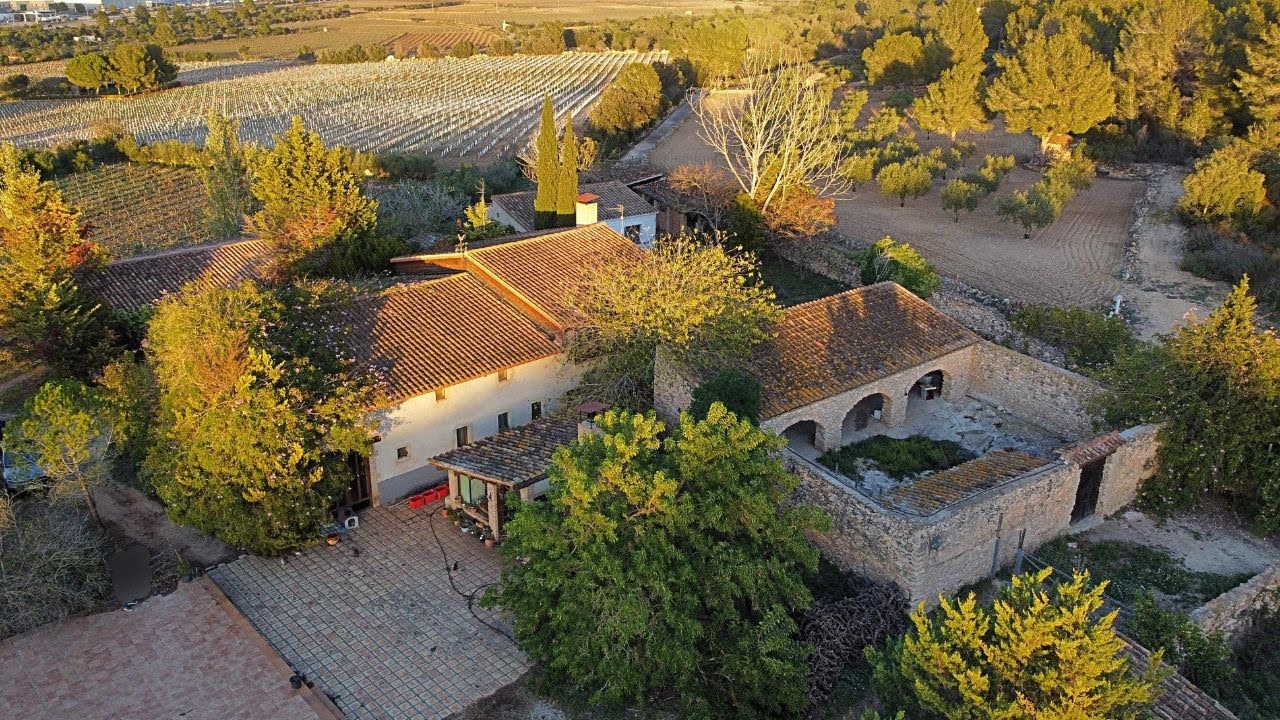 FINCA 20 HECTAREAS BAIX PENEDES