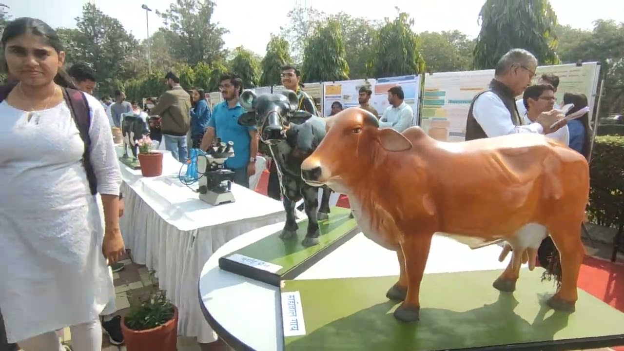 NDRI karnal visit | ndri dairy farm | dairy farm training in ndri karnal haryana | ndri show