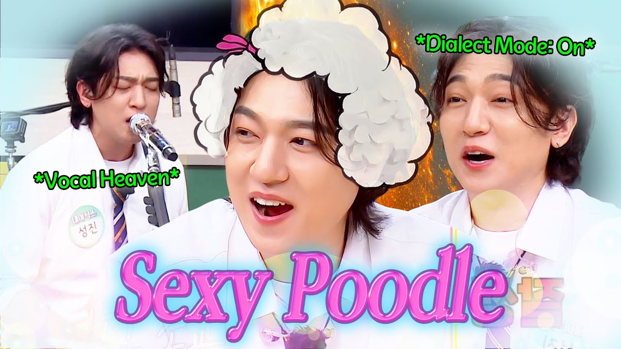 &ldquo;What&rsquo;s a Sexy Poodle? Is that food?💋&rdquo; DAY6 SUNGJIN's Funniest Moments🔥🔥
