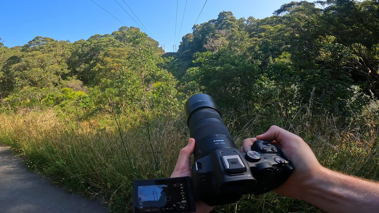 POV Nature Photography | Canon 100-400mm Test