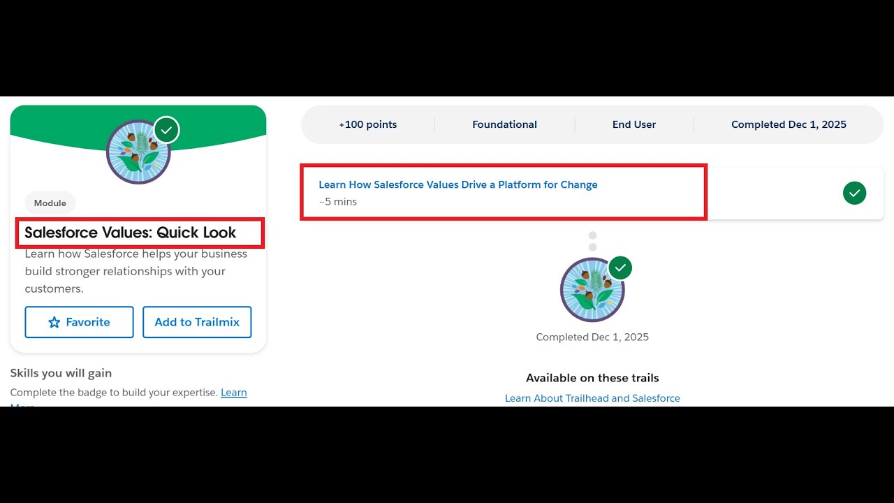 Salesforce Values: Quick Look | Salesforce Trailhead
