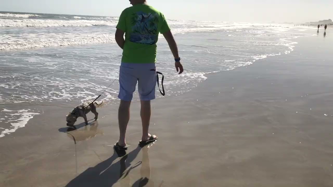 Wrigley at the Beach