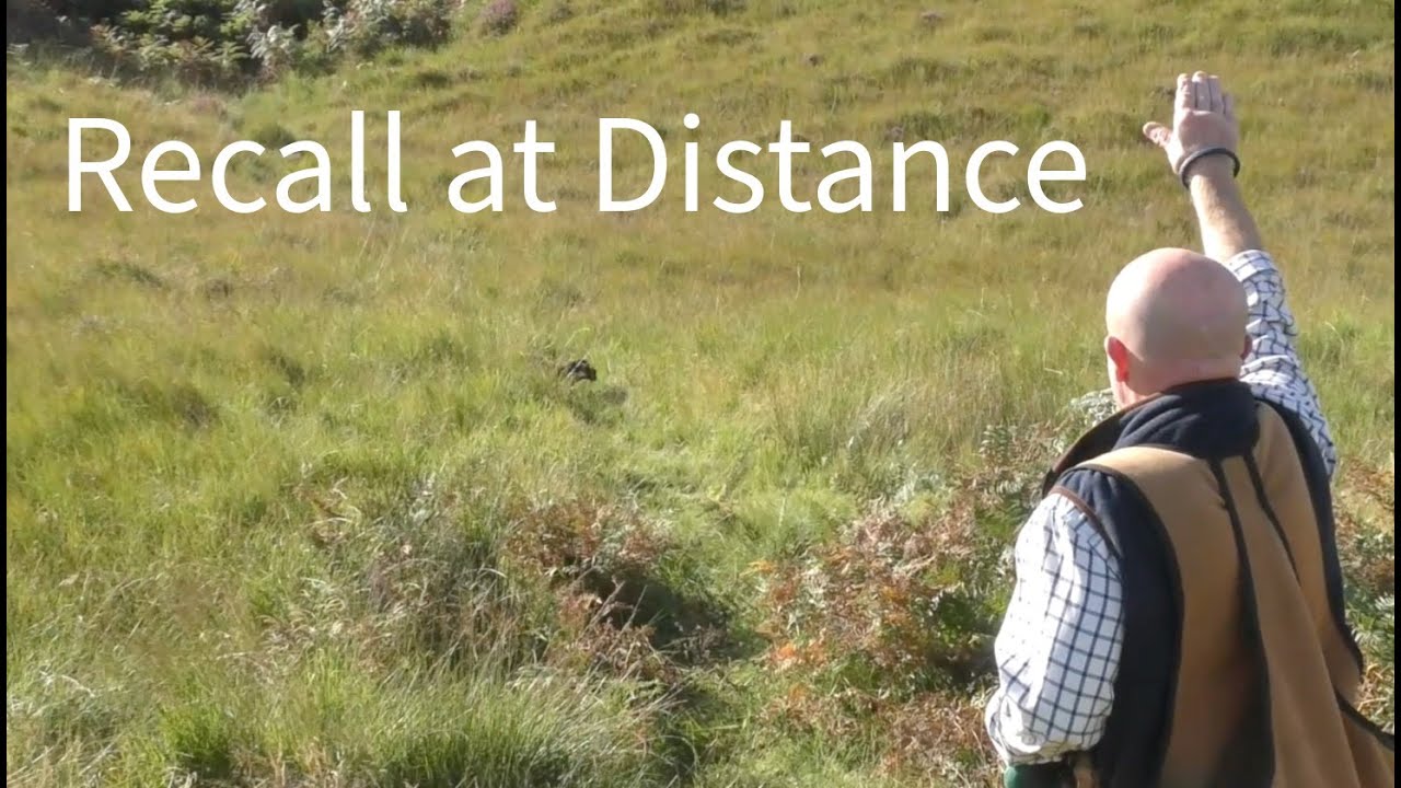 Recall at Distance