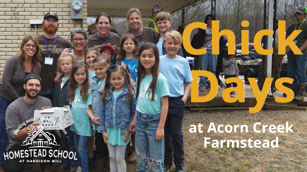 Homestead School takes a trip to Chick Days at Acorn Creek Farmstead | #HardisonMillHomesteadSchool