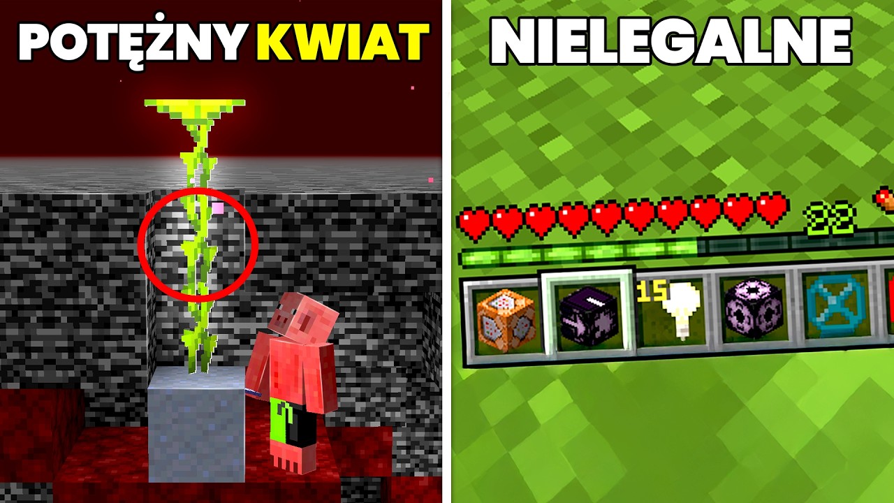 SEKRETY w MINECRAFT, o których NIE MIAŁEŚ POJĘCIA!