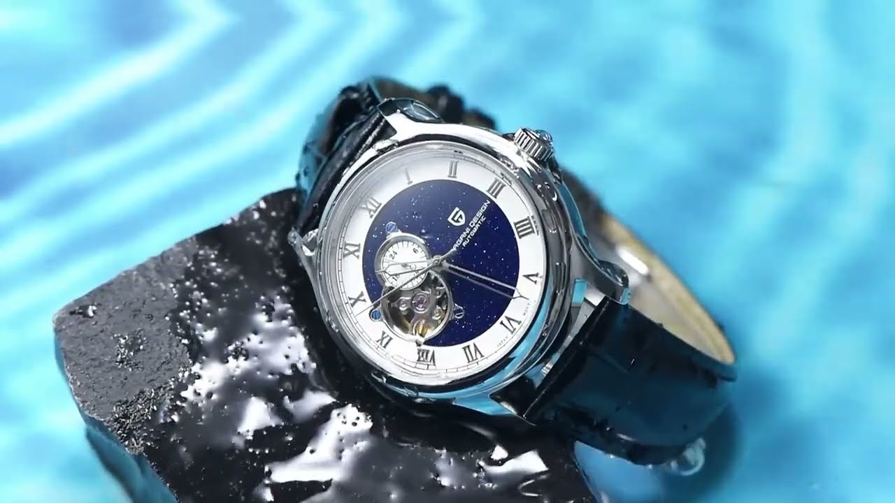 Pagani Design Luxury Automatic Watch Review | Best Affordable Mechanical Watch for Men