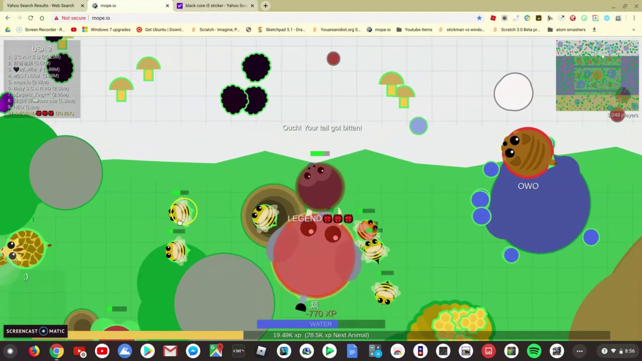 VERY MYSTERIOUS WHITE LION IN MOPE.IO!!! VERY UNUSUAL.