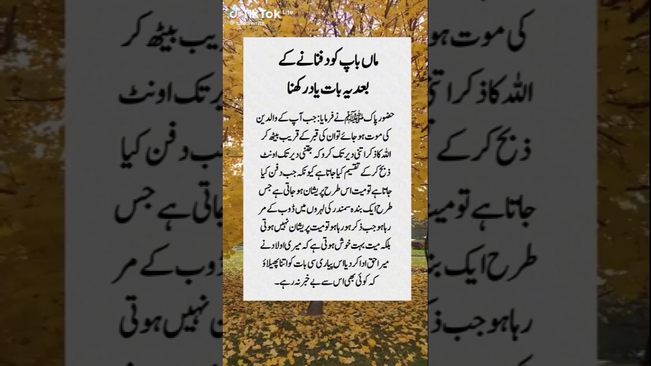ADISH|Hafiz Abubakar Arfy Official|#naatsharif#newnaat#QariMuhammadabubakarpakistan#2025kalam#Tilawt