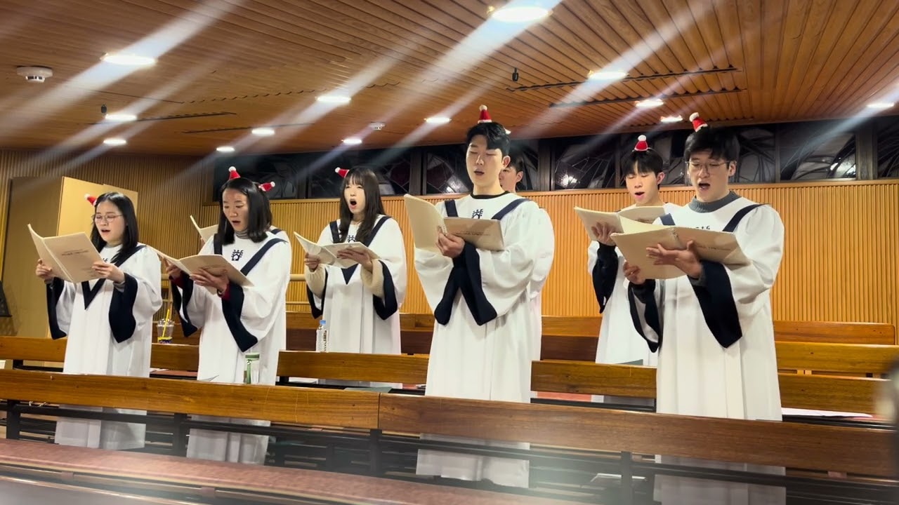 Agnus Dei - 까네레 특송(Canere)
