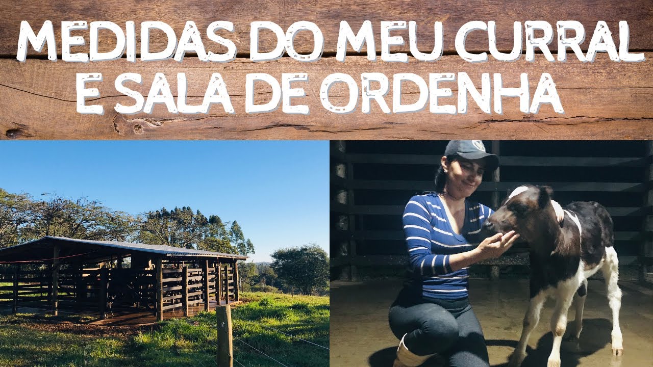 MEDIDAS DO CURRAL , SALA DE ORDENHA, RESFRIADOR E SALA DE ESPERA.