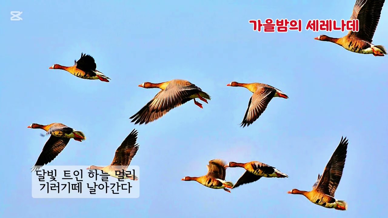 ■장성현가곡교실 [2992] 가을밤의 세레나데 ♡오경수 작시/김광자 작곡