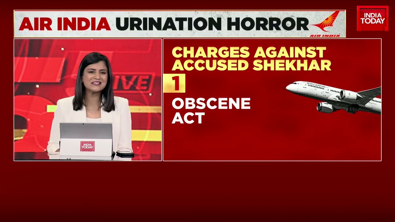 Air India Horror: Man Who Urinated On Co-Passenger On AI Flight Is From Mumbai, To Face Arrest