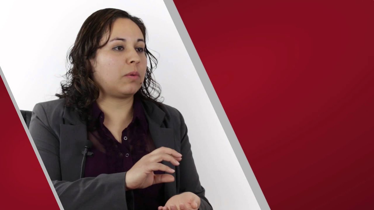 Vigilancia, Verificaci&oacute;n y Validaci&oacute;n