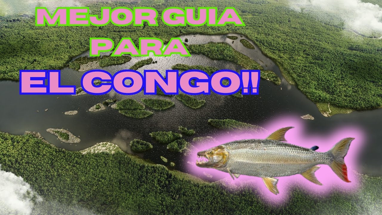 ⭐️MAXIMA EXPERIENCIA Y DINERO EN EL CONGO!!⭐️🐋 GUIA COMPLETA CON LOS MEJORES SPOTS DE PESCA🐋