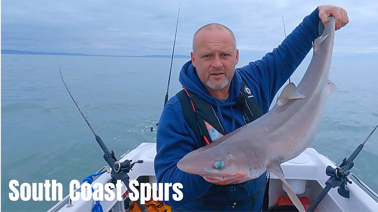 Small Boat Fishing - South Coast - Spurdogs and Conger Eels - Warrior 165