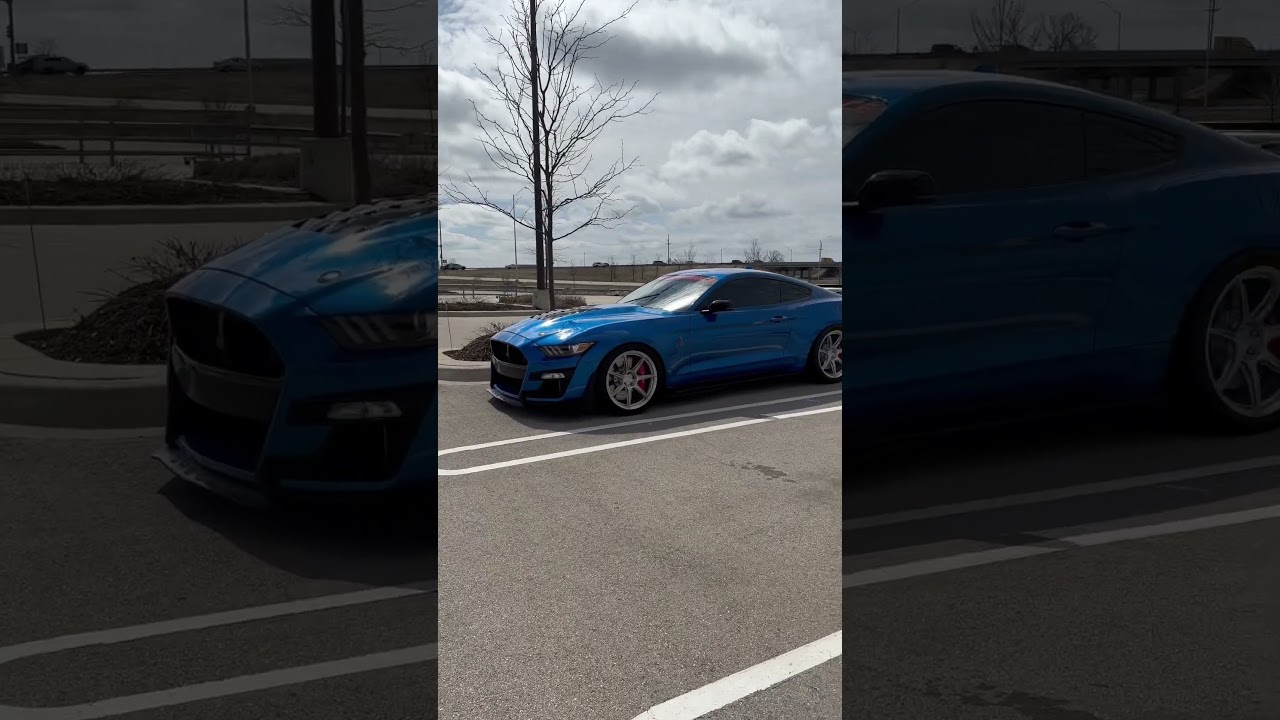 Steeda springs with the BC forged wheels #GT500 #shelby