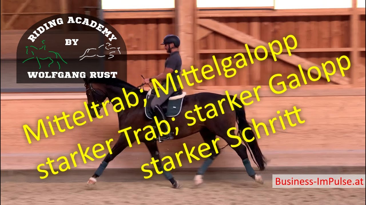 F53 Verst&auml;rkungen Reiten: Mitteltrab, Mittelgalopp, starker Trab, starker Galopp, Schritt Tempis