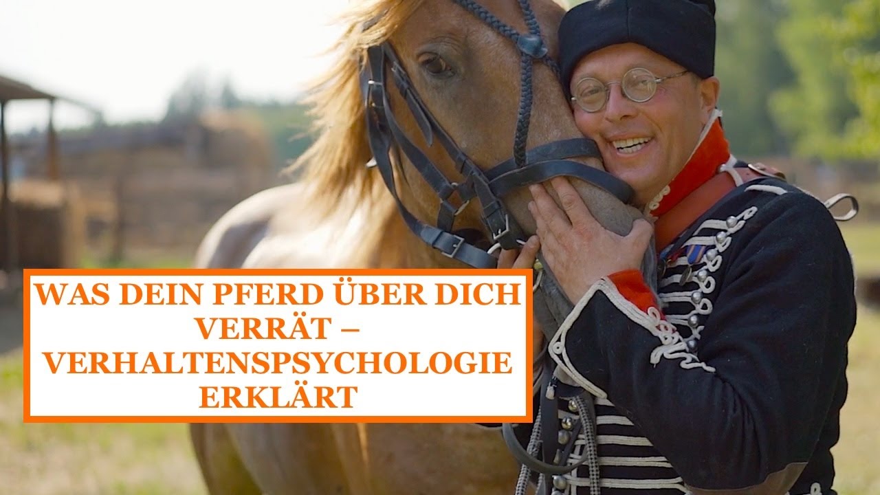 WAS DEIN PFERD ÜBER DICH VERRÄT – VERHALTENSPSYCHOLOGIE ERKLÄRT