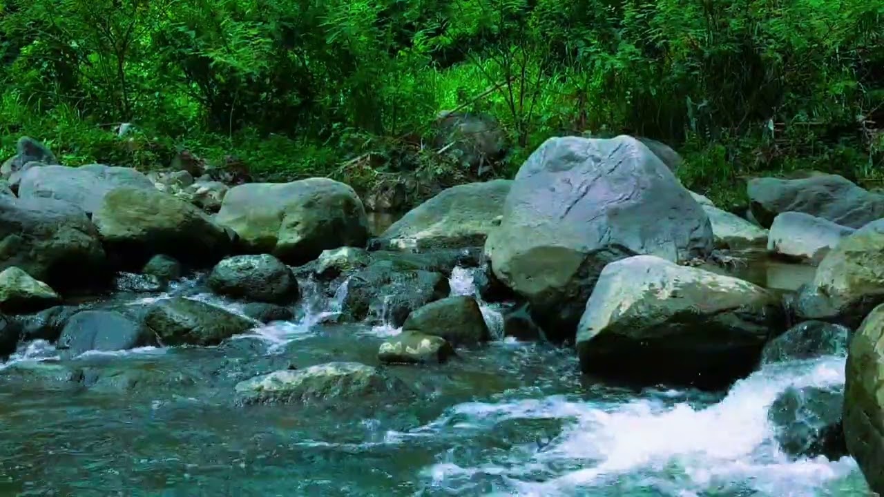1 Hour Relaxing River Sounds: Deep Sleep, Stress Relief & Nature ASMR