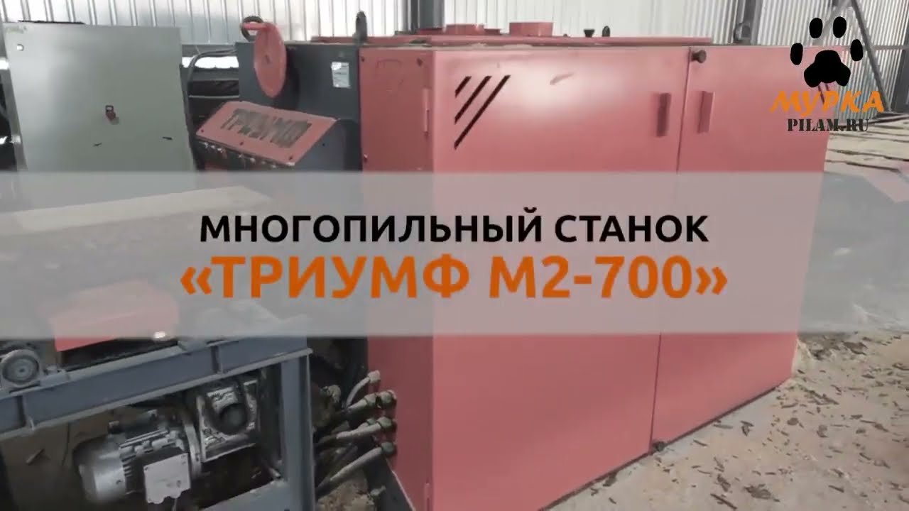 Мурка комплексная лесопильная линия Триумф производительностью БОЛЕЕ 100 кубометров pilam.ru